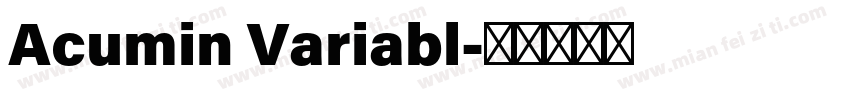Acumin Variabl字体转换